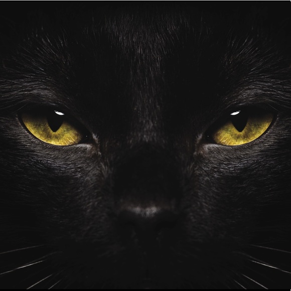 Meet your Posher, Hei - Picture 1 of 1